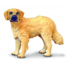 سگ شکاری طلایی, image 
