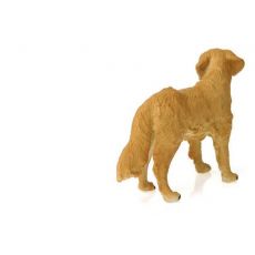 سگ شکاری طلایی, image 3