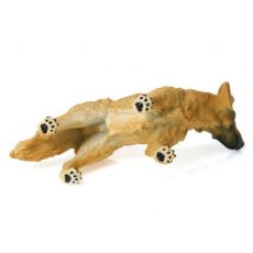 سگ شکاری طلایی, image 4
