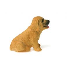 توله سگ شکاری طلایی, image 2