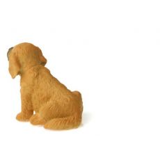 توله سگ شکاری طلایی, image 4