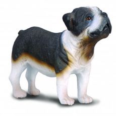 سگ بولداگ, image 