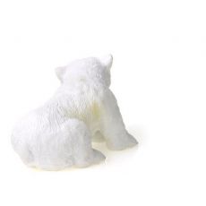 بچه خرس قطبی - نشسته, image 3