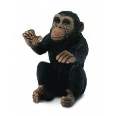 بچه شامپانزه - در حال بغل کردن, image 