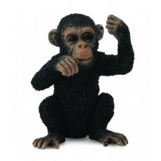 بچه شامپانزه - درحال فکر کردن, image 