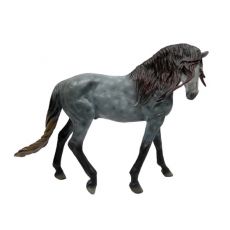 اسب نر اصیل اسپانیایی (اندلسی) خاکستری ابری تیره, image 