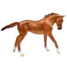 اسب ماده تروبرد کُرَنگ, image 