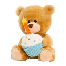 عروسک پولیشی 20 سانتی Happy Birthday Bear, image 