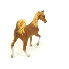 اسب ماده عربی طلایی کُرَنگ, image 3