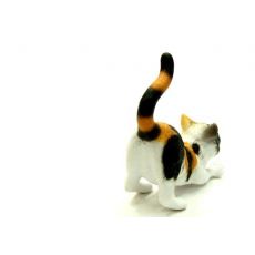 گربه خانگی سه‌رنگ - درحال کشش, image 4