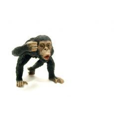 شامپانزه نر, image 4