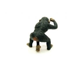 شامپانزه نر, image 5