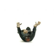 شامپانزه نر, image 6