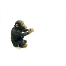 بچه شامپانزه - در حال بغل کردن, image 2
