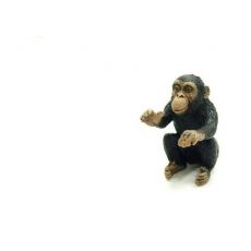 بچه شامپانزه - در حال بغل کردن, image 3