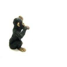 بچه شامپانزه - درحال فکر کردن, image 2