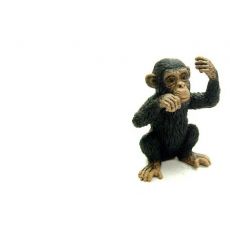 بچه شامپانزه - درحال فکر کردن, image 3