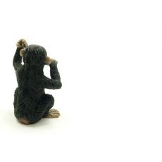 بچه شامپانزه - درحال فکر کردن, image 4