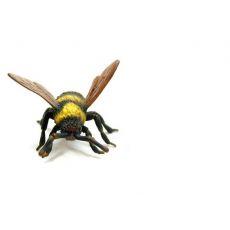 زنبور مخملی, image 3