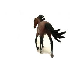اسب ماده ماستنگ قزل کَهَر, image 3
