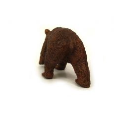بچه خرس قهوه‌ای, image 3