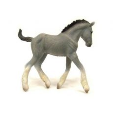 کره اسب شایر خاکستری, image 2