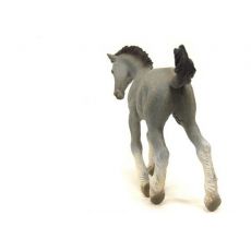 کره اسب شایر خاکستری, image 4