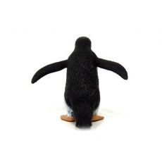 پنگوئن جنتو, image 4