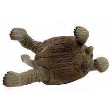 لاک‌پشت جزیره پینتا (جرج تنها), image 3
