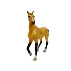 اسب ماده آخال‌تکه خاکستری زرد‌فام, image 2
