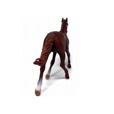 اسب نر مسابقه‌ای استانداردبرد آمریکایی کُرَنگ, image 3