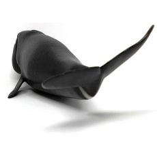 نهنگ قطبی, image 3