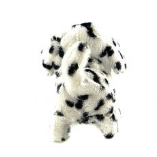 سگ رباتیک Spotty, image 5