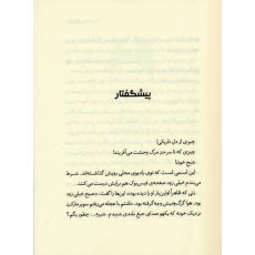 کتاب وبلاگ خون آشام 3: برف سرخ زمستان, image 3