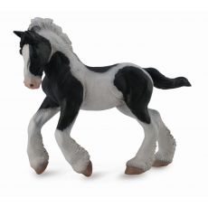 کره اسب جیپسی ابلق سیاه و سفید, image 