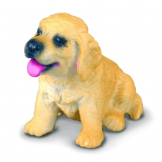 جاسوییچی توله سگ شکاری طلایی, image 