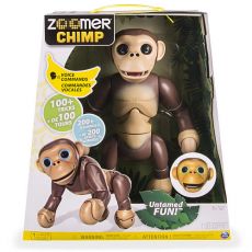 شامپانزه زومر, image 
