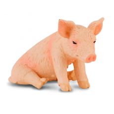 بچه خوک - نشسته, image 