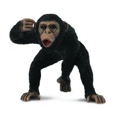 شامپانزه نر, image 