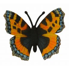 پروانه بال لاک‌پشتی کوچک, image 