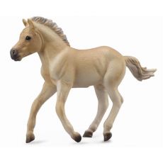 کره اسب فجورد سمند قهوه‌ای, image 