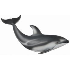 دلفین پهلوسفید اقیانوس آرام, image 