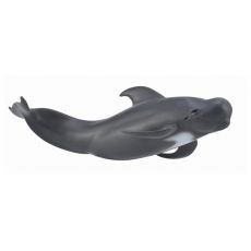 نهنگ خلبان, image 