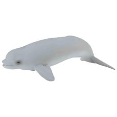 بچه نهنگ سفید (بلوگا), image 
