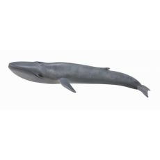 نهنگ آبی, image 