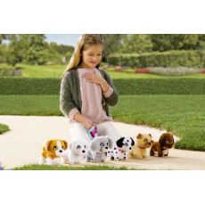 سگ Mini Walkiez مدل Bichon, image 6