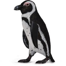 پنگوئن آفریقای جنوبی, image 