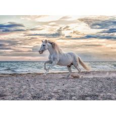 پازل 500 تکه راونزبرگر مدل اسب دونده در ساحل, image 2