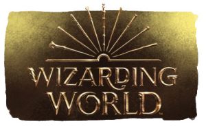 اسباب بازی فقط توی توی | TOY TOY > ویزاردینگ ورلد - Wizarding World