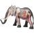 پک ساخت آناتومی بدن فیل, تنوع: 622037-Elephant, image 2